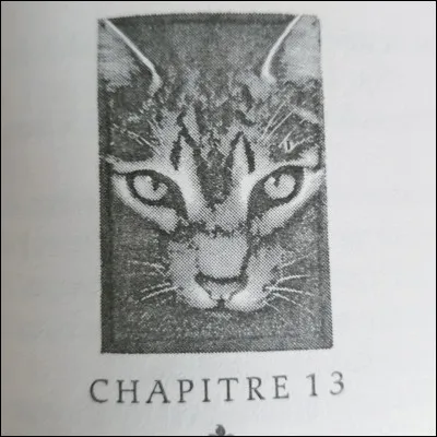 Quel est l'événement qui l'a tué ?