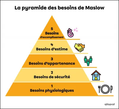 Quels sont les quatre besoins de base nécessaires au respect du bien-être de nos animaux ?