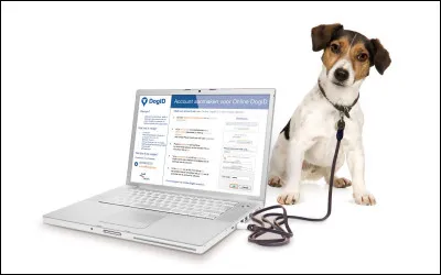 Depuis quand lidentification et lenregistrement des chiens sont-ils obligatoires en Wallonie ?