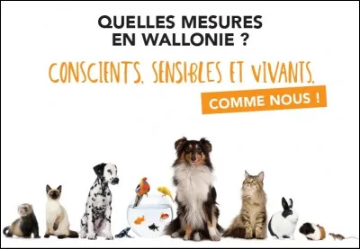 Depuis quand les animaux ne sont-ils plus considérés comme des biens meubles en Belgique ?