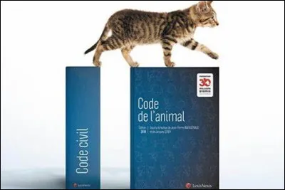 Qua adopté la Wallonie en matière de bien-être animal ?