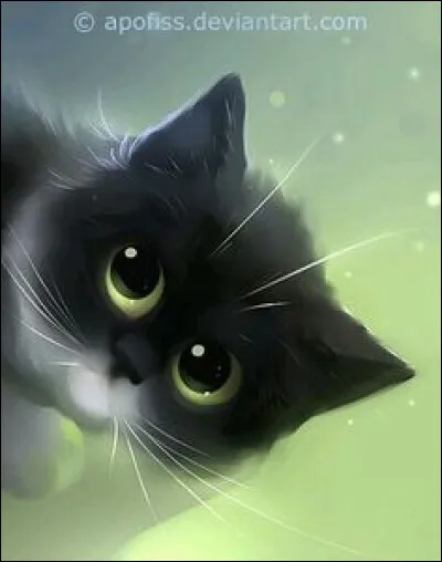 Le pelage "écaille de tortue" des chats est un mélange de quelles couleurs ?