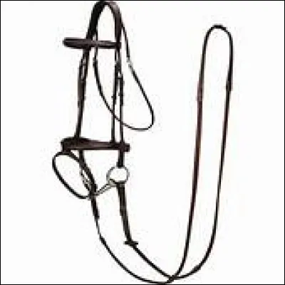 Quel est cet objet ?