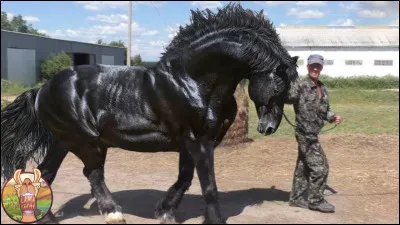 Comment s'appelle la tribu ennemie dans ''Mulan'' ?