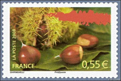 "Ici, si tu cognes, tu gagnes,
Ici, même les mémés aiment [...]"