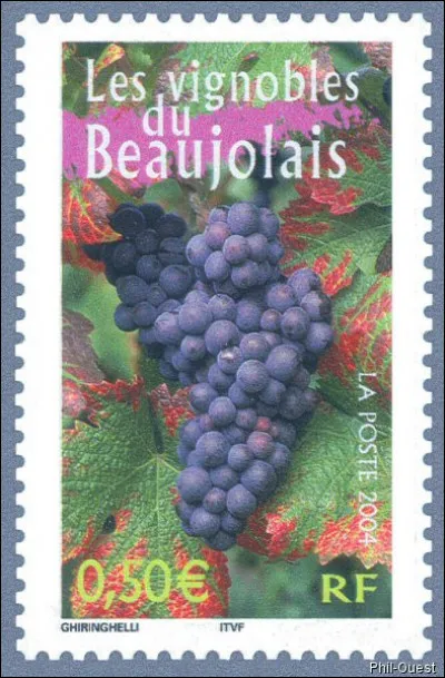 Épongeons l'excédent !