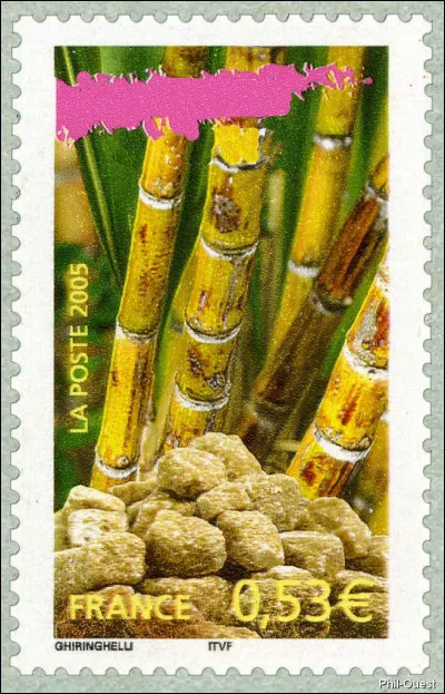 Et là, même si vous n'êtes pas du coin, vous reconnaissez tout de même de quoi il s'agit, non ?