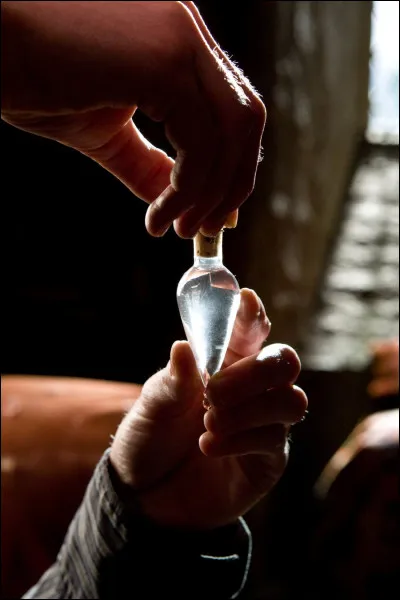 Harry met-il réellement du Felix Felicis dans le verre de Ron ? (pour lui porter chance avant son match de Quidditch)