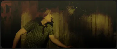 Lorsque Lavande et Ron s'embrassent devant Hermione, quel sort utilise-t-elle pour parvenir à les faire partir ?