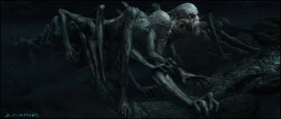 Comment se nomment ces créatures ?