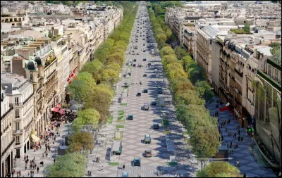 Lavenue des Champs-Élysées se trouve dans le ... arrondissement.