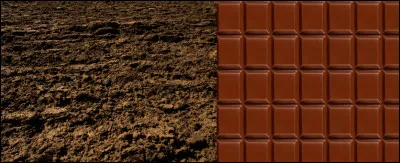 Cette couleur est celle de la terre, du chocolat et...