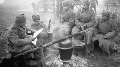 Quel pays s'est rendu aux Alliés le 13 mai 1943 ?