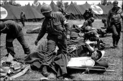 Combien de personnes sont décédées au cours de cette guerre ?