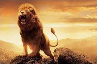 Quel est le nom du lion dans "Le Monde de Narnia" ?