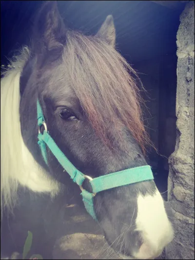 Comment s'appelle cet équipement ?