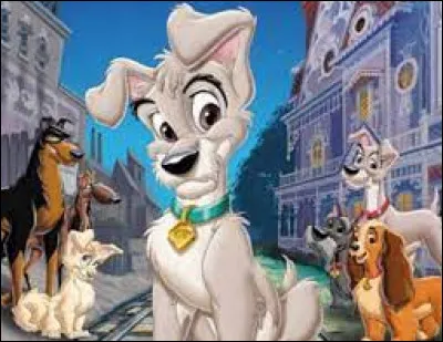 Dans le film Disney "La Belle et le Clochard : L'Appel de la rue", combien de chiots ont eu la Belle et le Clochard ?