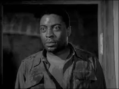 Quel est le nom de cet acteur ?