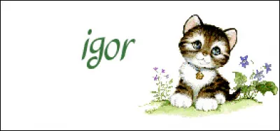 Dans "Brice de Nice" quel acteur incarne Igor d'Hossegor ?