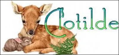 De quel roi des Francs, (associé parfois à un certain vase) sainte Clotilde fut-elle l'épouse ?