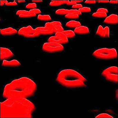 Comment s�appelle le pigment respiratoire pr&eacute;sent dans le sang des vert&eacute;br&eacute;s qui transporte l�oxyg&egrave;ne ?