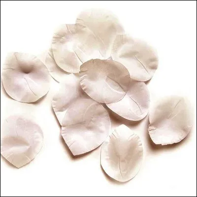 Quelle fleur effeuille-t-on quand on est amoureux ?