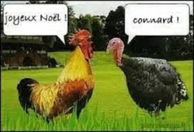 Langue &eacute;trang&egrave;re : Comment dit-on "dindon" en italien ?