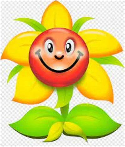 Langage des plantes : Si vous offrez un g&eacute;ranium &agrave; une personne, qu'est-ce que cela signifie ?