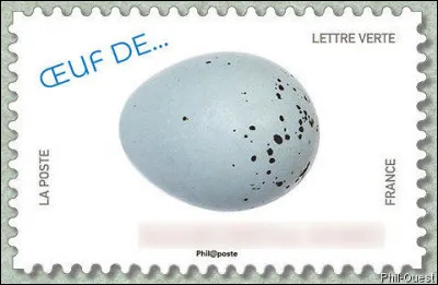 Bien plus modeste en taille est l'oeuf de ... (Complétez !)