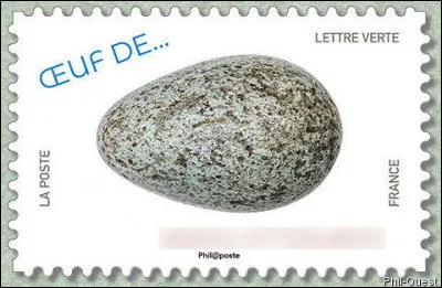 Sa longue interaction avec l'homme est décrite par le biologiste John Marzluff comme une « coévolution culturelle ». Quel est ce volatile ?