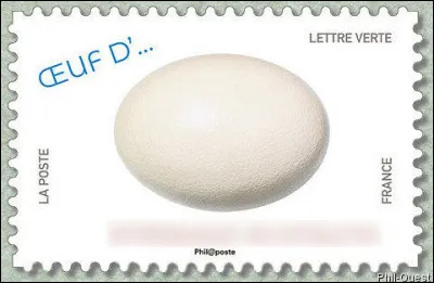 Les seuls oiseaux à ne posséder que deux doigts par patte, dont un sans griffe. Lequel ?