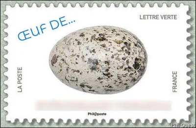 Ses prédateurs principaux sont les chats domestiques et les rapaces. Quel est-il/elle ?