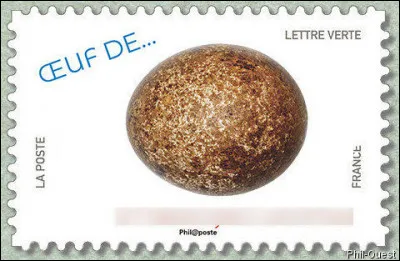 C'est l'un des rapaces les plus communs en France, avec la buse variable et le milan noir. Qui est-il ?