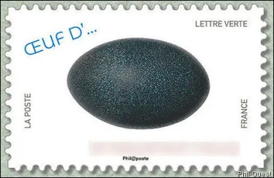 Ces dromaiidés forment une famille actuellement monogénérique. Laquelle ?