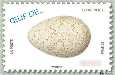 Revenons sous nos latitudes pour un spécimen pourtant importé d'importance ! Lequel/laquel ?