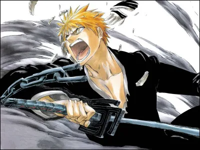 Qui est ce personnage de manga ?