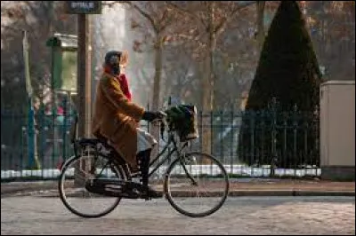 Qui est &agrave; l'origine de la citation "La vie, c'est comme une bicyclette, il faut avancer pour ne pas perdre l'&eacute;quilibre" ?