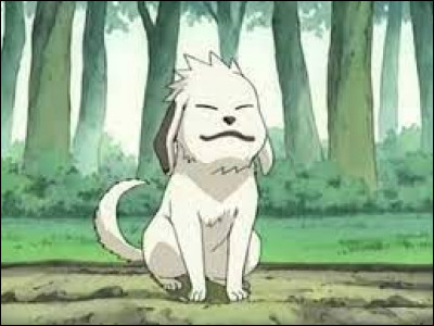 Comment le chien de Kiba s'appelle-t-il ?