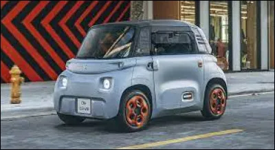 Tu souhaites acheter une voiture, elle doit être :