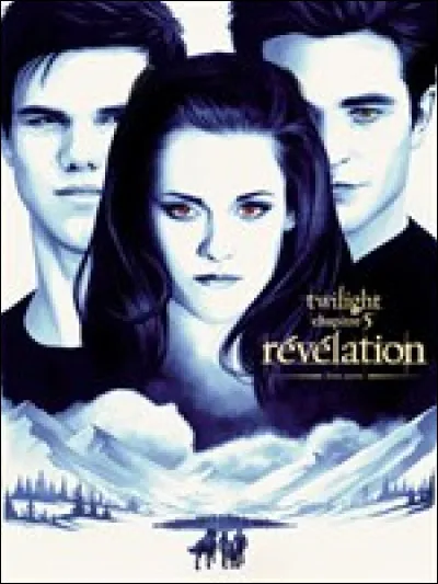 Quelle est ta plus grande qualité ?