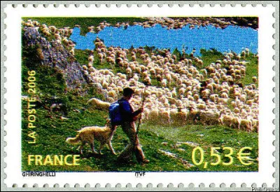 À quoi assistons-nous, en direct ?