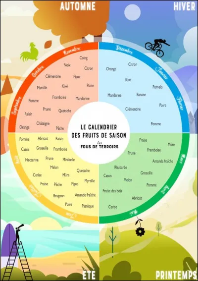 Quelle est ta saison préférée ?