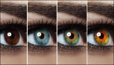 Quelle est la couleur de tes yeux ?