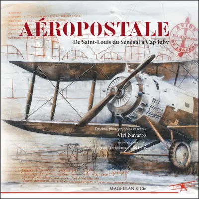 Quelle personne du domaine de l'aviation a eu l'idée de réutiliser les avions de guerre devenus inutiles (1re Guerre mondiale) ?
