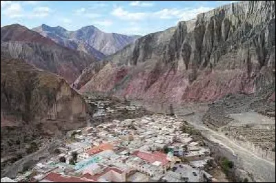 Quel animal est utilisé comme animal de portage dans les hauteurs argentines ?