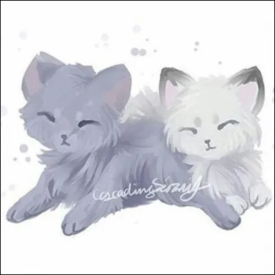 Quel &eacute;tait le nom de chaton d'&Eacute;toile Bleue ?