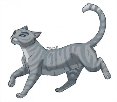 Quel ancien chat domestique rejoint le Clan du Tonnerre ? (2)