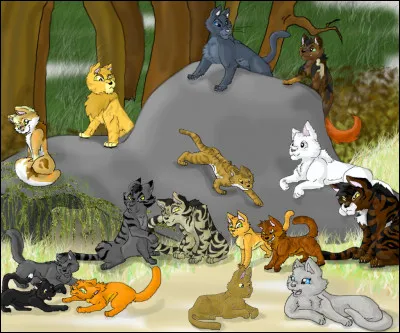 Qu'est-ce que le "Partage" dans LGDC ?