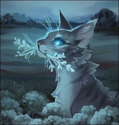 Quelle est la capacit&eacute; sp&eacute;ciale d'�il de Geai ?