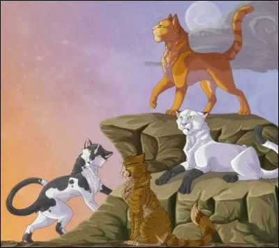 Qui &eacute;tait chef dans le cycle 1 ?